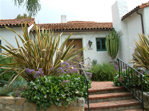 Fanning Leaves